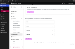 Page screenshot: Elementor &rarr; Editor &rarr; Role Manager