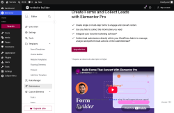 Page screenshot: Elementor &rarr; Editor &rarr; Submissions