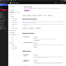 Page screenshot: Elementor &rarr; Editor &rarr; Settings &rarr; Features