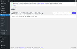 Page screenshot: Icegram Express → Logs