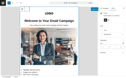 Page screenshot: Icegram Express → Email Editor Beta