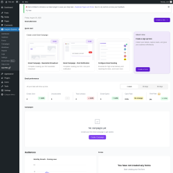 Page screenshot: Icegram Express →  Get PRO 