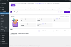 Page screenshot: Icegram Express &rarr; Campaigns