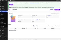 Page screenshot: Icegram Express &rarr; Campaigns