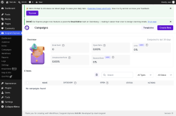 Page screenshot: Icegram Express &rarr; Campaigns