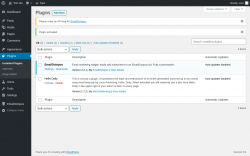 Page screenshot: Plugins &lsaquo; Test site &mdash; WordPress
