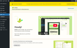 Page screenshot: Virfice