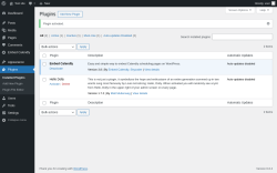 Page screenshot: Plugins &lsaquo; Test site &mdash; WordPress