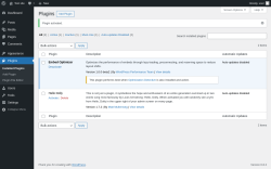 Page screenshot: Plugins ‹ Test site — WordPress