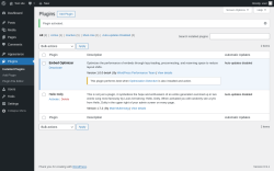 Page screenshot: Plugins &lsaquo; Test site &mdash; WordPress
