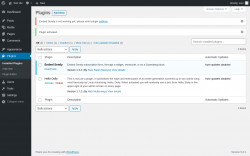 Page screenshot: Plugins &lsaquo; Test site &mdash; WordPress