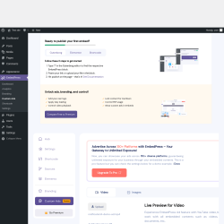 Page screenshot: EmbedPress → Custom Ads