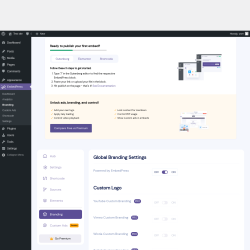 Page screenshot: EmbedPress → Branding