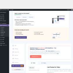 Page screenshot: EmbedPress → Custom Ads