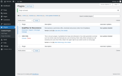 Page screenshot: Plugins &lsaquo; Test site &mdash; WordPress