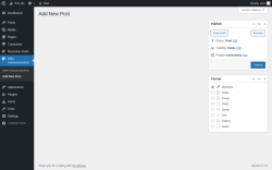 Page screenshot: EMA Announcements → Add New Post