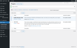 Page screenshot: Plugins ‹ Test site — WordPress
