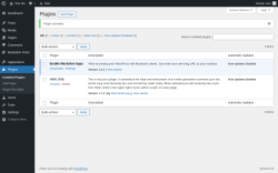 Page screenshot: Plugins ‹ Test site — WordPress