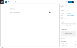 Page screenshot: Add New Page ‹ Test site — WordPress