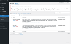 Page screenshot: Plugins ‹ Test site — WordPress