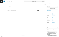 Page screenshot: Add New Post ‹ Test site — WordPress