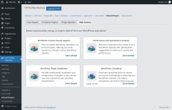 Page screenshot: CM Tooltip Glossary → Related Plugins → Web Services