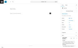 Page screenshot: Add Post ‹ Test site — WordPress