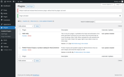 Page screenshot: Plugins &lsaquo; Test site &mdash; WordPress