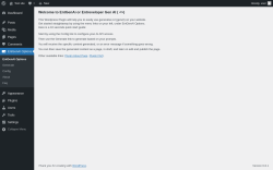 Page screenshot: EntGenAI Options