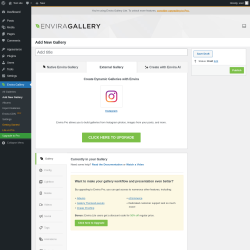 Page screenshot: Envira Gallery → Add New Gallery → 
		External Gallery
	