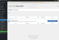 Page screenshot: Envira Gallery
