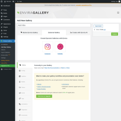 Page screenshot: Envira Gallery → Add New Gallery → 
		External Gallery
	