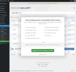 Page screenshot: Envira Gallery → Albums
