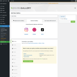 Page screenshot: Envira Gallery → Add New Gallery → 
		External Gallery
	