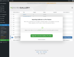 Page screenshot: Envira Gallery → Import Galleries