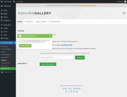 Page screenshot: Envira Gallery → Settings
