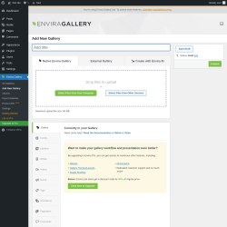Page screenshot: Envira Gallery &rarr; Add New Gallery
