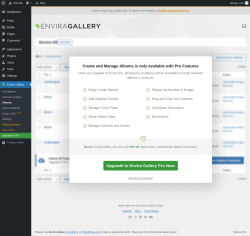 Page screenshot: Envira Gallery &rarr; Albums