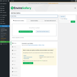 Page screenshot: Envira Gallery &rarr; Add New Gallery