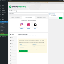 Page screenshot: Envira Gallery &rarr; Add New Gallery &rarr; 
		External Gallery
	