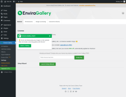 Page screenshot: Envira Gallery &rarr; Settings
