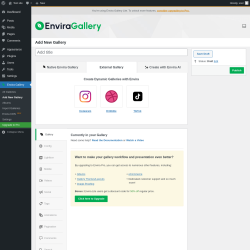 Page screenshot: Envira Gallery &rarr; Add New Gallery &rarr; 
		External Gallery
	