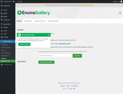 Page screenshot: Envira Gallery &rarr; Settings