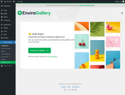 Page screenshot: Envira Gallery