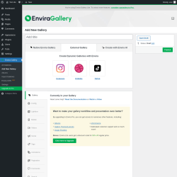 Page screenshot: Envira Gallery &rarr; Add New Gallery &rarr; 
		External Gallery
	