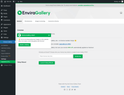 Page screenshot: Envira Gallery &rarr; Settings