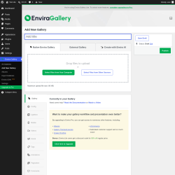 Page screenshot: Envira Gallery &rarr; Add New Gallery