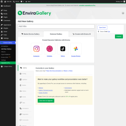 Page screenshot: Envira Gallery &rarr; Add New Gallery &rarr; 
		External Gallery
	
