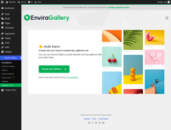 Page screenshot: Envira Gallery
