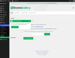 Page screenshot: Envira Gallery &rarr; Settings